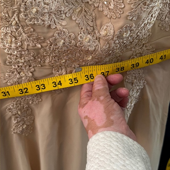 Champagne Lace Formal Dress W/ Sheer Lace Top-Size US 16 Eveng /Wdg. Guest Gown - Picture 10 of 12